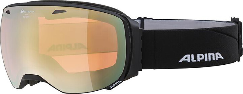 Alpina Big Horn QHM Goggles, black matt 2020 Ski & Snowboard brillen