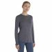 ICEBREAKER T-shirt fonctionnel 'Cool-Lite Sphere III' gris