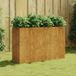 Maison Exclusive - Jardinière surélevée en acier Corten, dimensions 120 x 40 x 80 cm