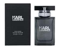 Karl Lanvin Paris Eclat D'arpege / 100 ml / Woman