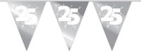 Haza original Haza-Witbaard BV Slingers 25 Zilver 10m