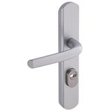 Vachette Deurgreepset op Secumax Up plaat - sleutelversie I, afstand 195 mm