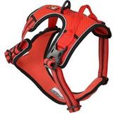 Dogs Creek Pathfinder Rood L