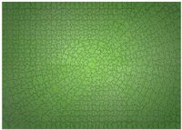 Ravensburger Krypt Neon Green Legpuzzel 736 Stukjes