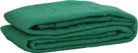 vidaXL Aanhangwagennet - 3,5x6 m - HDPE - Groen