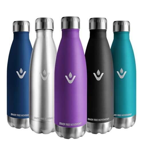 Vikaster Vikaster Thermos Thermosfles, 500 ml, lekvrij, 0,5 l, BPA-vrij, herbruikbare thermoskan, drinkfles van roestvrij staal voor fiets, camping, yoga, gym, fitness, school, reizen, outdoor