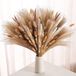 Ibenzoa® Set van 60 Pampasgras en Konijnenstaarten voor Boho en Rustieke Decoraties