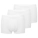 Speidel Heren retro short / pant 3 pack Sky.line