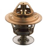 SWAG Thermostat d'eau SWAG 82 91 5804