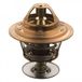 SWAG Thermostat d'eau SWAG 82 91 5804