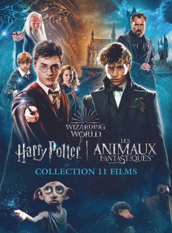 Harry Potter - 1 - 7.2 Collection + Fantastic Beasts 1 - 3 (DVD) - Boxset - Standard Edition