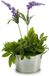 Arte r Plantenpot/bloempot teil - zink - zilver - D12 x H17 cm