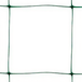 Tenax 1A090442 net Flora, groen