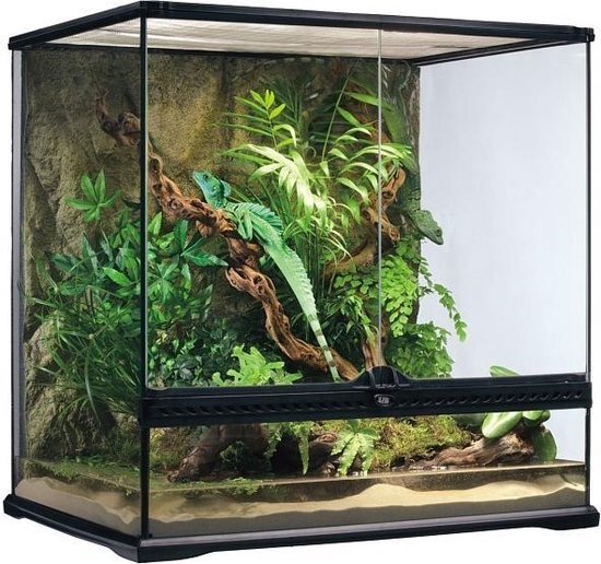 Exo Terra Terrarium glas terrarium zwart 60 x 45 x 60 cm