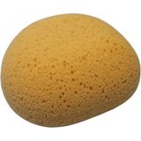Natura Wellness Sponge 15x12x7cm