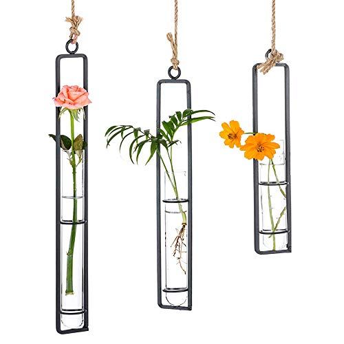 Sziqiqi Hanging Hydroponics Vaas Houder, Clear Glass Test Tube Hydroponic Plant Vase, Idee voor Thuis Balkon Bloemencontainer Decoratie, Tuinplant Houder