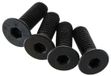 Horizon AR722412 Flat Head Screw 4x12mm (4)