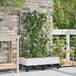 Maison Exclusive - Deux jardinières pour fleurs avec système d'arrosage et roues, en plastique PP, de couleur blanche