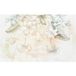 Papier peint panoramique - Fleurs - 408 cm x 255 cm