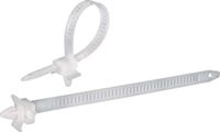 TRU COMPONENTS 1592899 TC-PHV150203 Kabelbinder 150 mm 7.90 mm Natuur Met spreidanker 100 stuk(s)