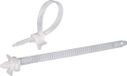 TRU COMPONENTS 1592899 TC-PHV150203 Kabelbinder 150 mm 7.90 mm Natuur Met spreidanker 100 stuk(s)