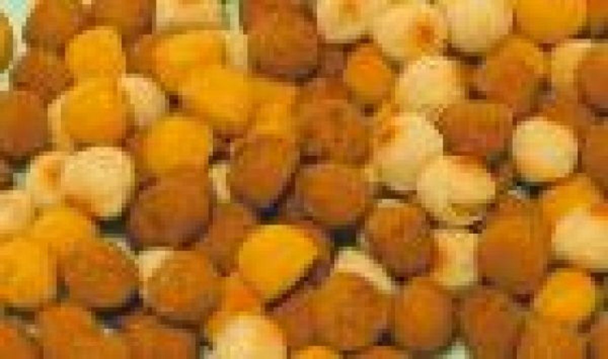 JACK DOGGIES Jack Jackers Hondensnack - 10 kg