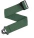 D'Addario PWSAL407 Auto Lock Polypropyleen Gitaarband Groen
