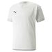PUMA Teamfinale Jersey heren Voetbal Shirt