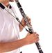 BG C20-LP Klarinetband Nylon Zwart