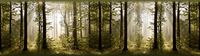 AG Design Zelfklevende rand, muursticker, folie, 0,14 x 5 m