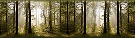 AG Design Zelfklevende rand, muursticker, folie, 0,14 x 5 m