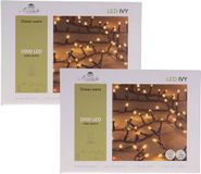 Anna's Collection Kerstverlichting Ivy