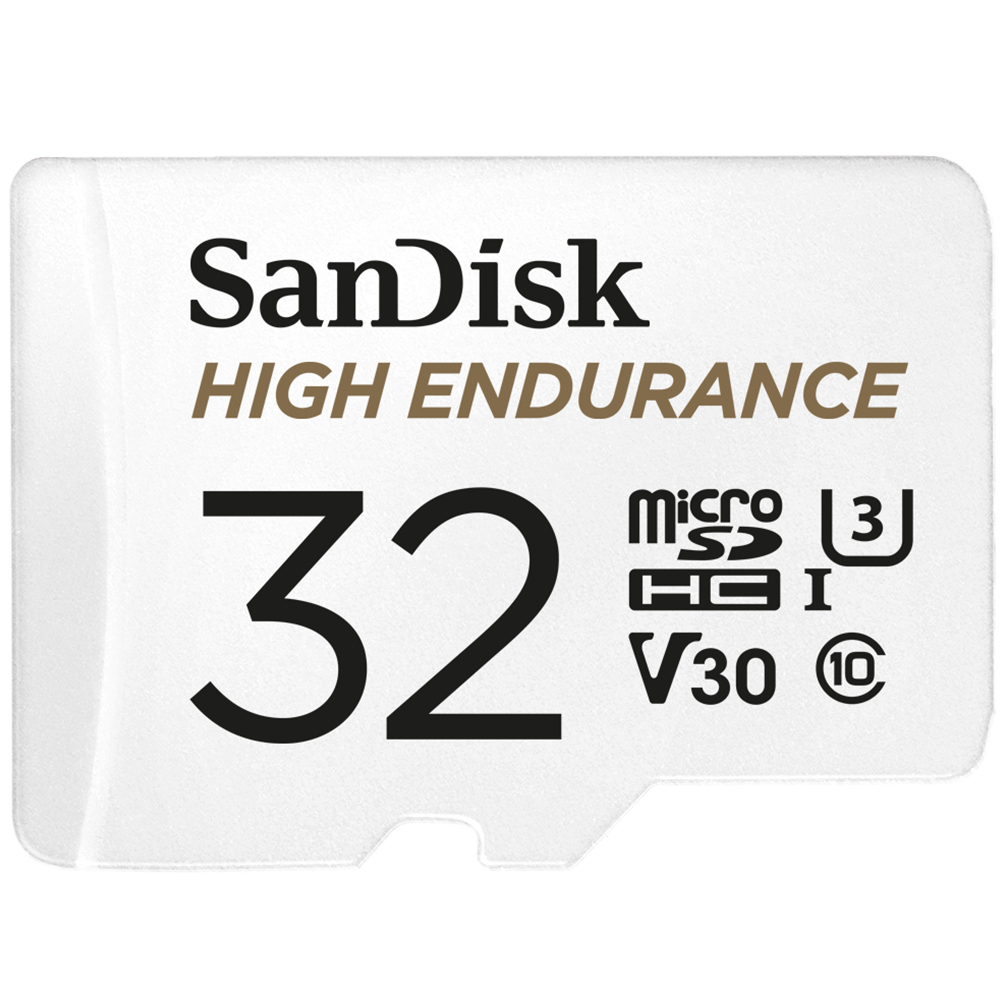 SanDisk   High Endurance