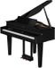 Roland GP-6-PE Piano numérique - Noir Laqué Brillant
