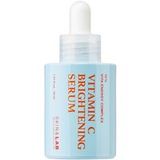 SKIN & LAB SKIN SCIENCE SOLUTION Vitamine C-serum voor het gezicht met hyaluronzuur en niacinamide | Serum voor een gelijkmatige huidtint (31,8 ml)