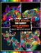 100 QUEST 1-HOUR MYSTERY MOSAIC: 100 Unique Shapes of Exotic Animals by Number