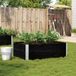 Maison Exclusive - Jardinière Noir 120x80 cm Bois massif Pin
