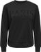 JDY Jacqueline de Yong Trui Jdyparis L/s Emb Sweat Jrs Noos 15221015 Black/ Glitter Pa Dames Maat - XL