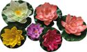 SuperFish Pond Deco Lelie