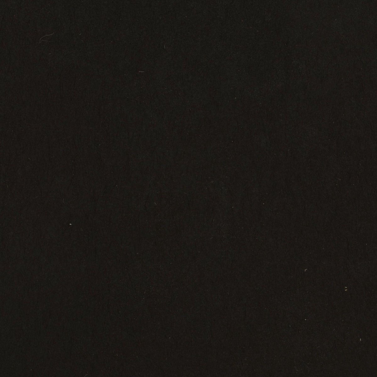 Florence Cardstock smooth A4 Black