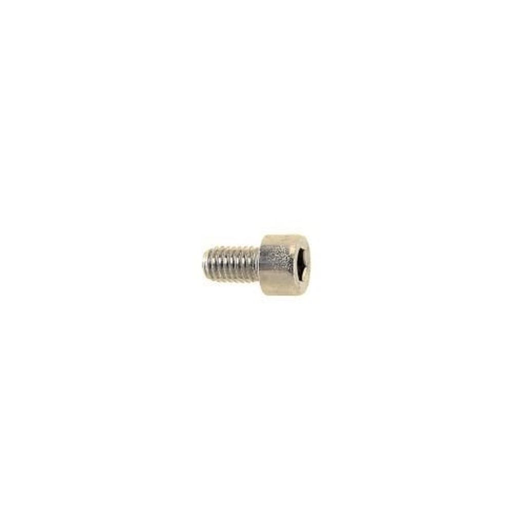 Amigo Inbusbout M6 x 25 mm RVS 214210