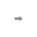 Amigo Inbusbout M6 x 25 mm RVS 214210
