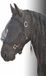 Harry's Horse Vliegenmasker Halster - Pony - noir