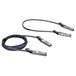 PLANET CB-DASFP-2M InfiniBand en Glasvezelkabel SFP+ Zwart