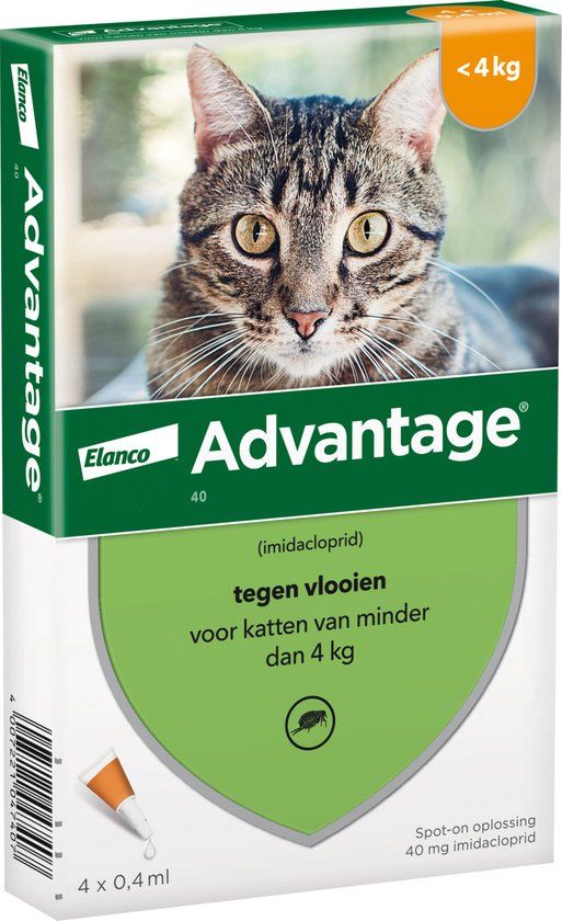 Advantage 40 Tegen Vlooien - Kat - <4kg - 4 Pipetten
