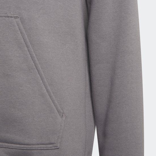 adidas Performance Entrada 22 Sweat Hoodie - Kinderen - Grijs - Maat 116