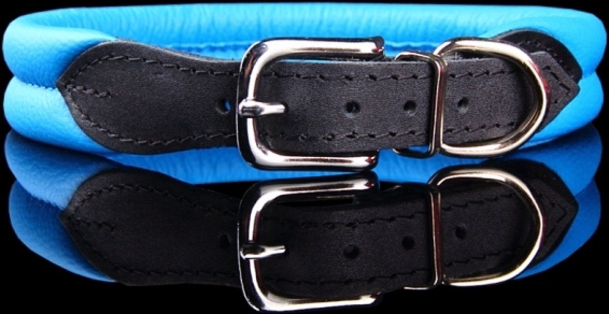 Dog's Companion Leren Halsband - 42-47 cm x 25 mm - Blauw