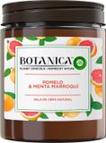 Air Wick Botanica Munt Grapefruit Geurkaars 205 g