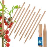 MK TRADING Michał Kotarba Kotarbau Houten Plantstokken - 40 CM - Set van 10
