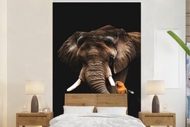 Nr1Wallpaper Behang - Fotobehang Olifant - Zwart - Papegaai - Breedte 195 cm x hoogte 300 cm